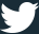 Follow us on Twitter